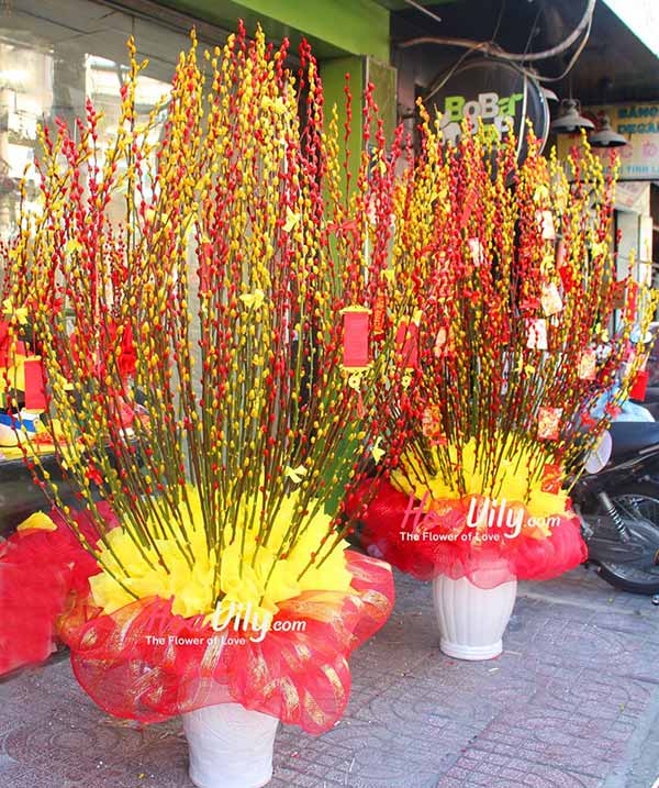 bình nụ tầm xuân hoàng tráng
