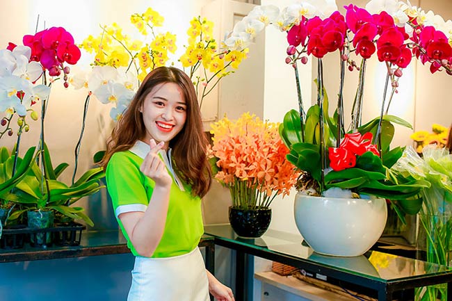 Địa chỉ bán lan hồ điệp trắng