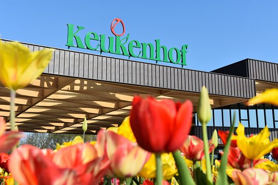 Lễ hội hoa tulip Keukenhof