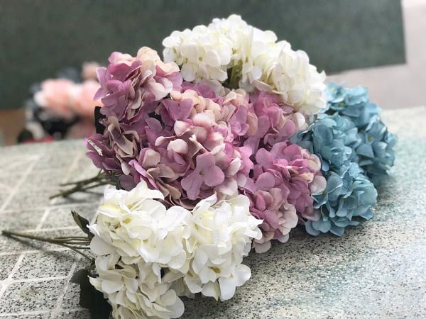 Ý nghĩa hoa cẩm tú cầu xin lỗi