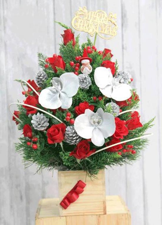 Ý nghĩa màu sắc hoa Giáng sinh